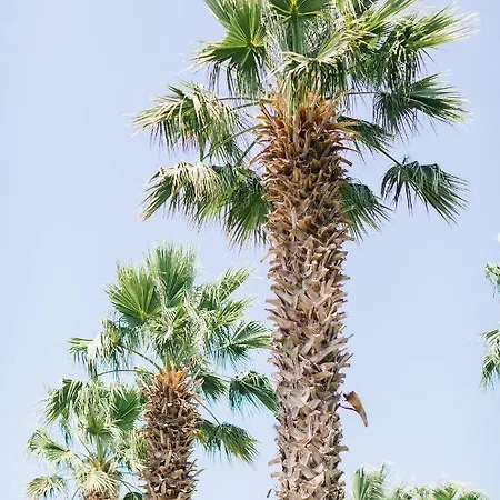 Selvi Hotel Göltürkbükü