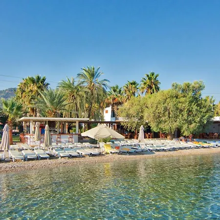 Selvi Göltürkbükü