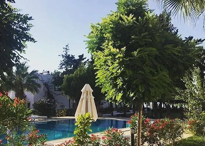 Selvi Ξενοδοχείο Golturkbuku