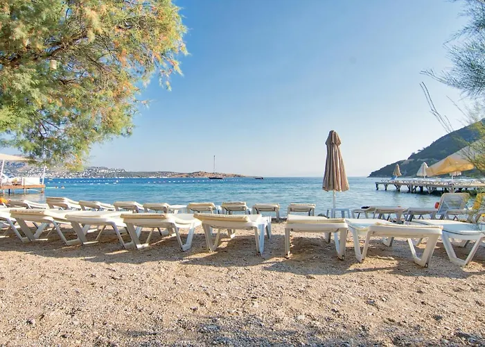 Ξενοδοχείο Selvi 3*