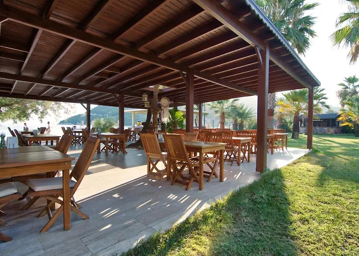 Hotel Selvi Golturkbuku