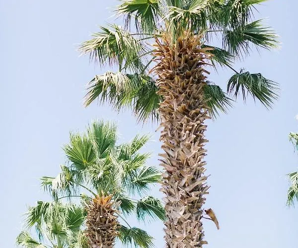 Selvi Szálloda Golturkbuku