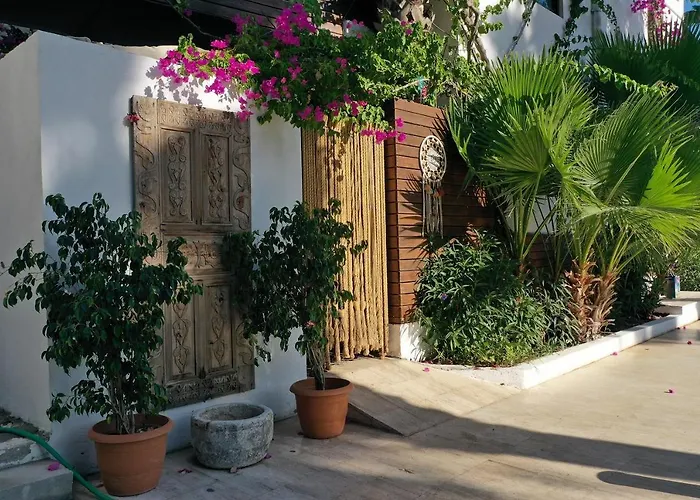 Selvi Гёльтюрбюку