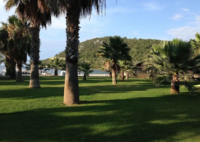 Szálloda Selvi Golturkbuku